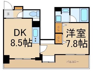 クリオ文京小石川の物件間取画像